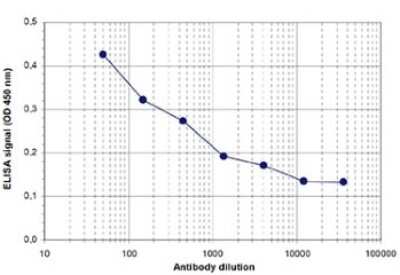 ELISA: Histone H3 [ac Lys23] Antibody [NBP2-59175] - To determine the titer, an ELISA was performed using a serial dilution of the antibody directed against H3K23ac . The antigen used was a peptide containing the histone modification of interest. By plotting the absorbance against the antibody dilution, the titer of the antibody was estimated to be 1:2,750.